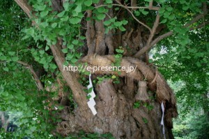 image10